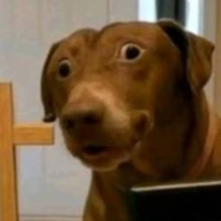 chat with ai character: god like dog