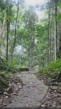 ai character: RIMBA!!!  background