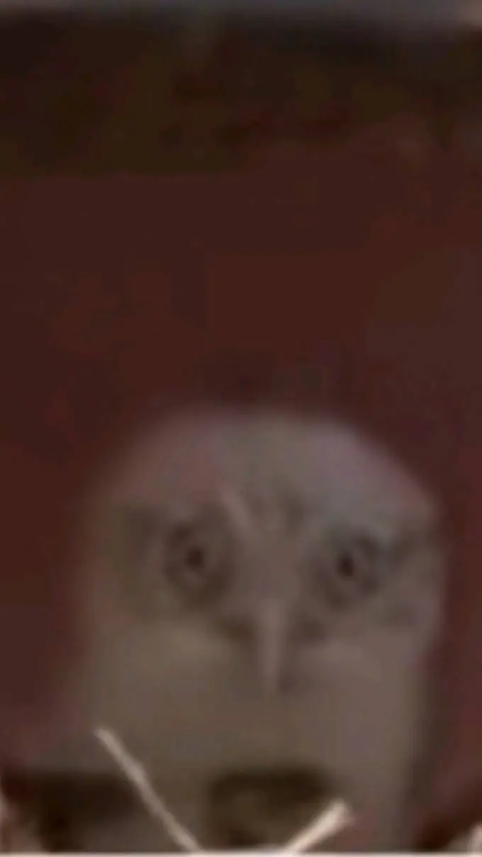 ai character: фляяяяяу background