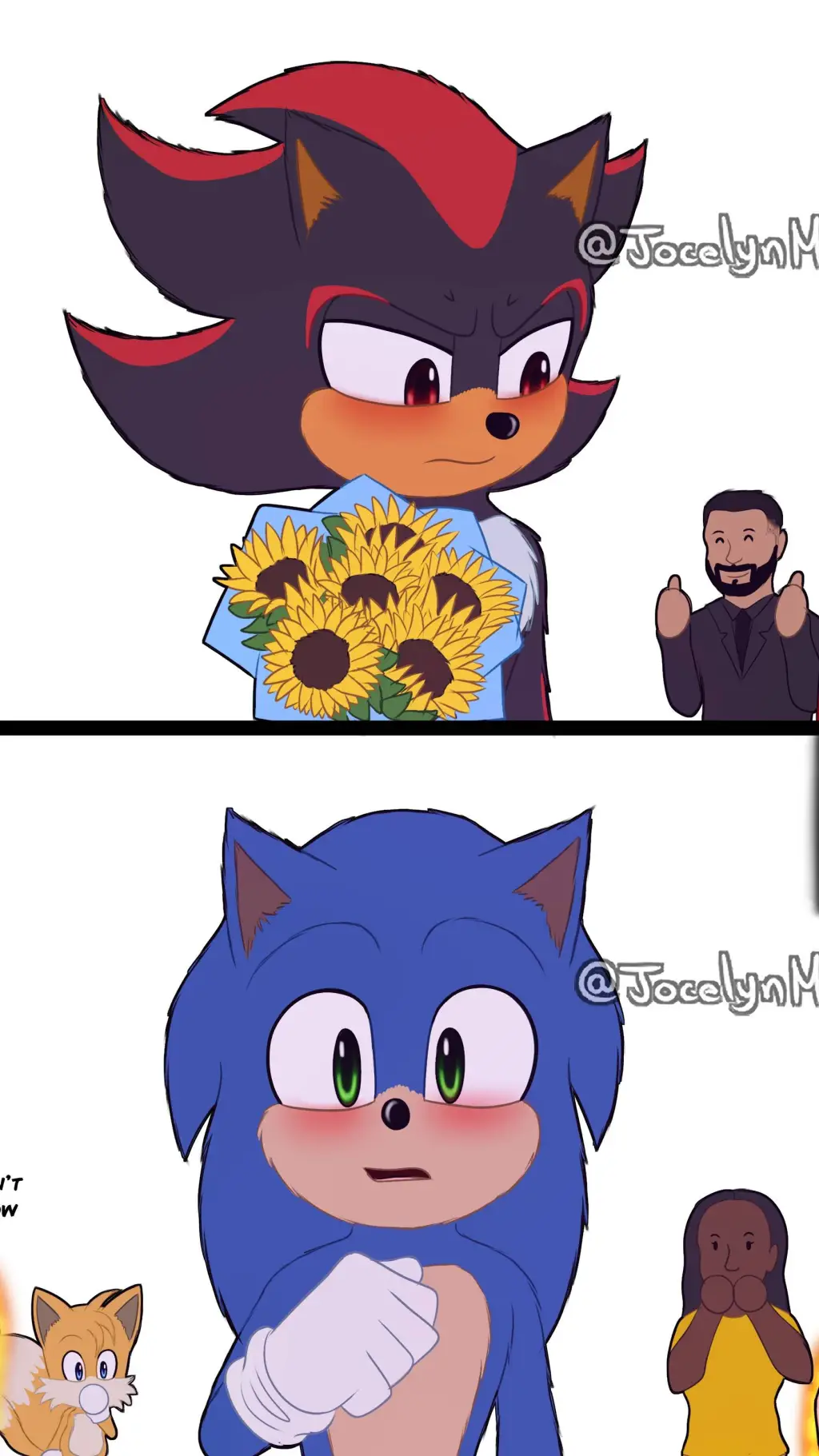 ai character: Sonadow  background