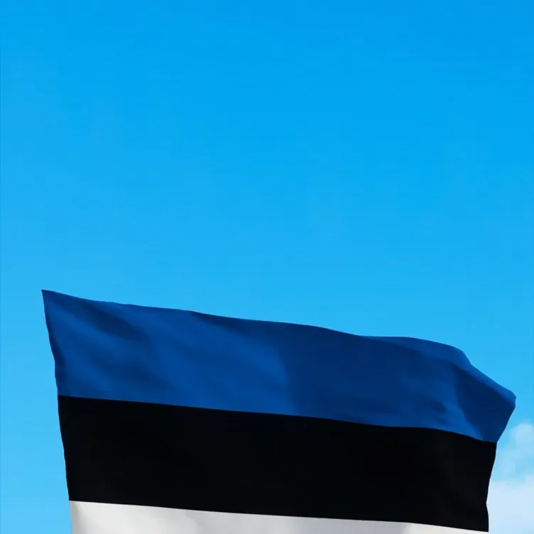 chat with ai character: Estonian(xaiver)
