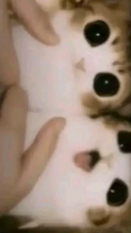 ai character: Forsaken 2 background