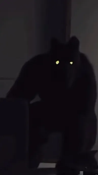 ai character: Sleepover background