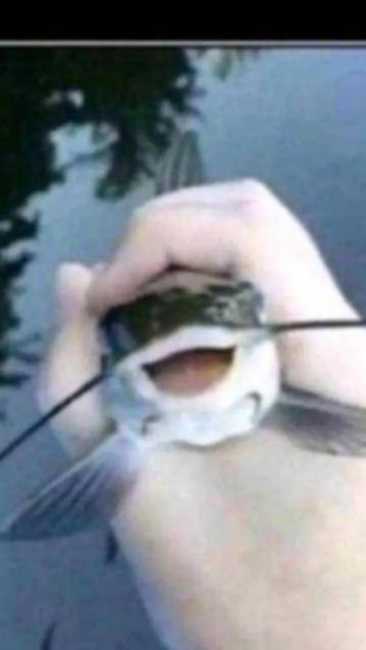 ai character: pebble(dw) background