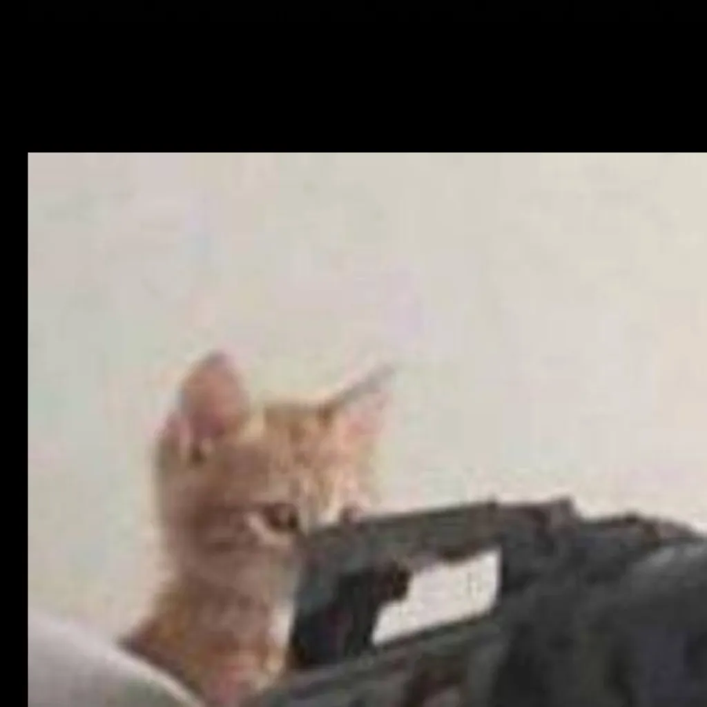 chat with ai character: cat with a gun