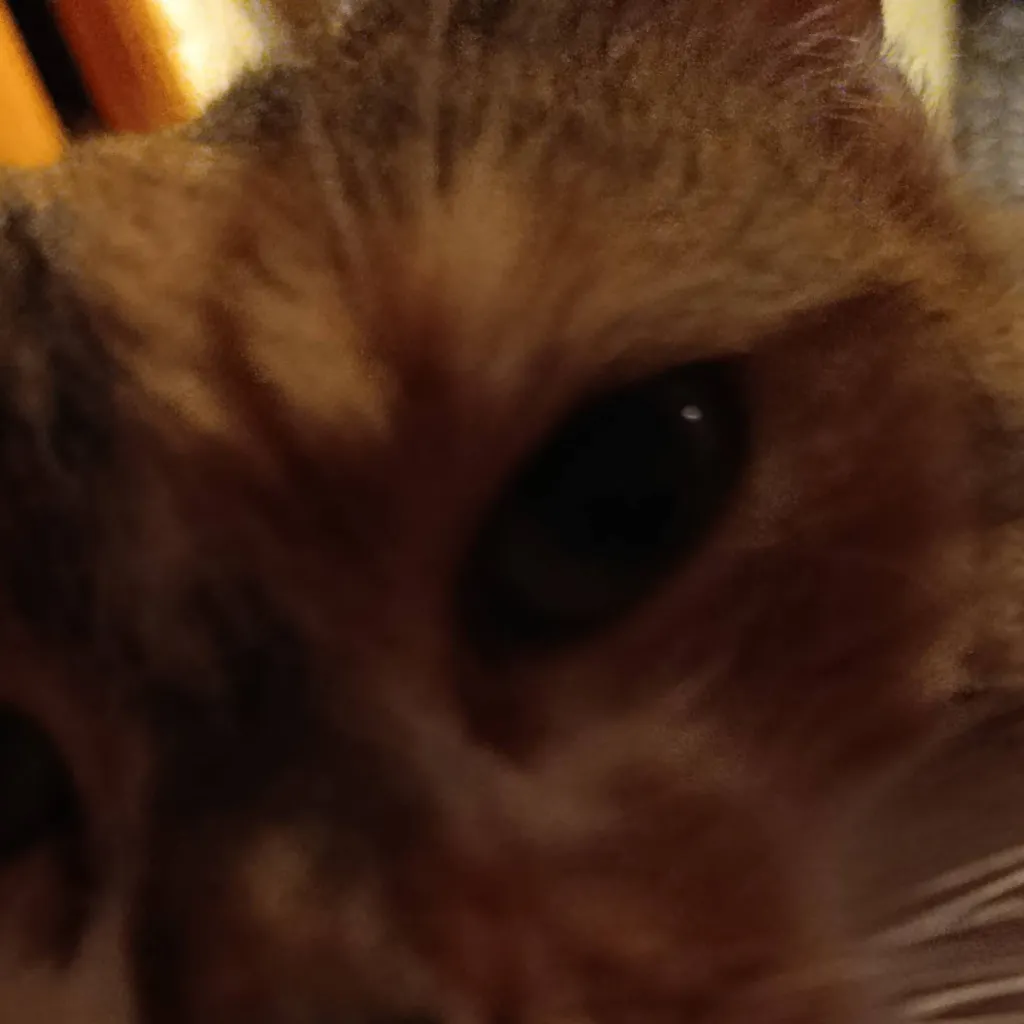 chat with ai character: Gribouille 