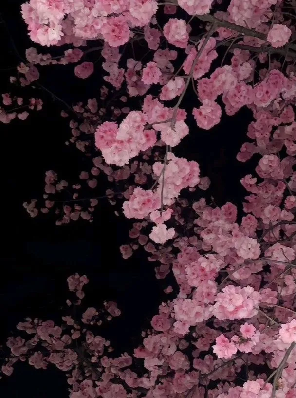 chat with ai character: Old friends 