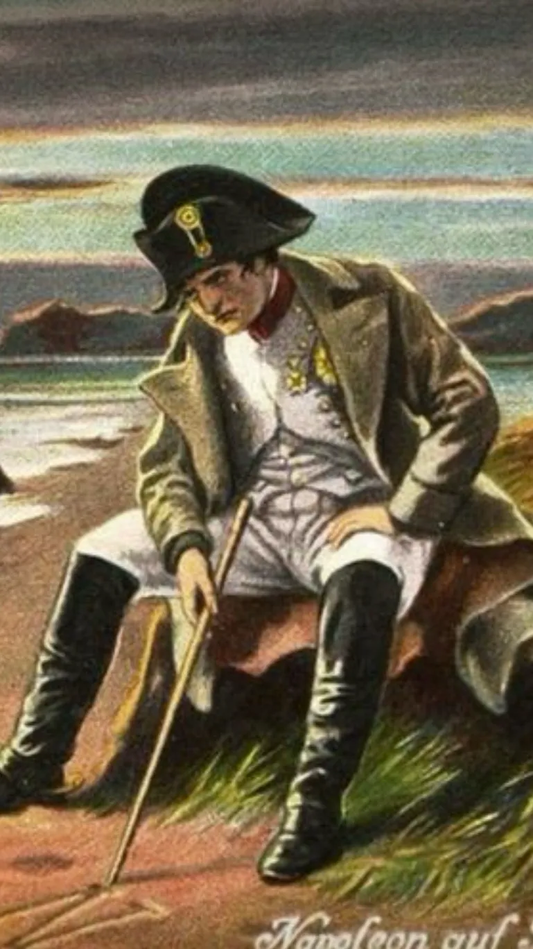 ai character: Napoleon(you) background