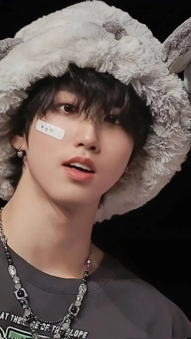 ai character: Han Jisung(roomie) background