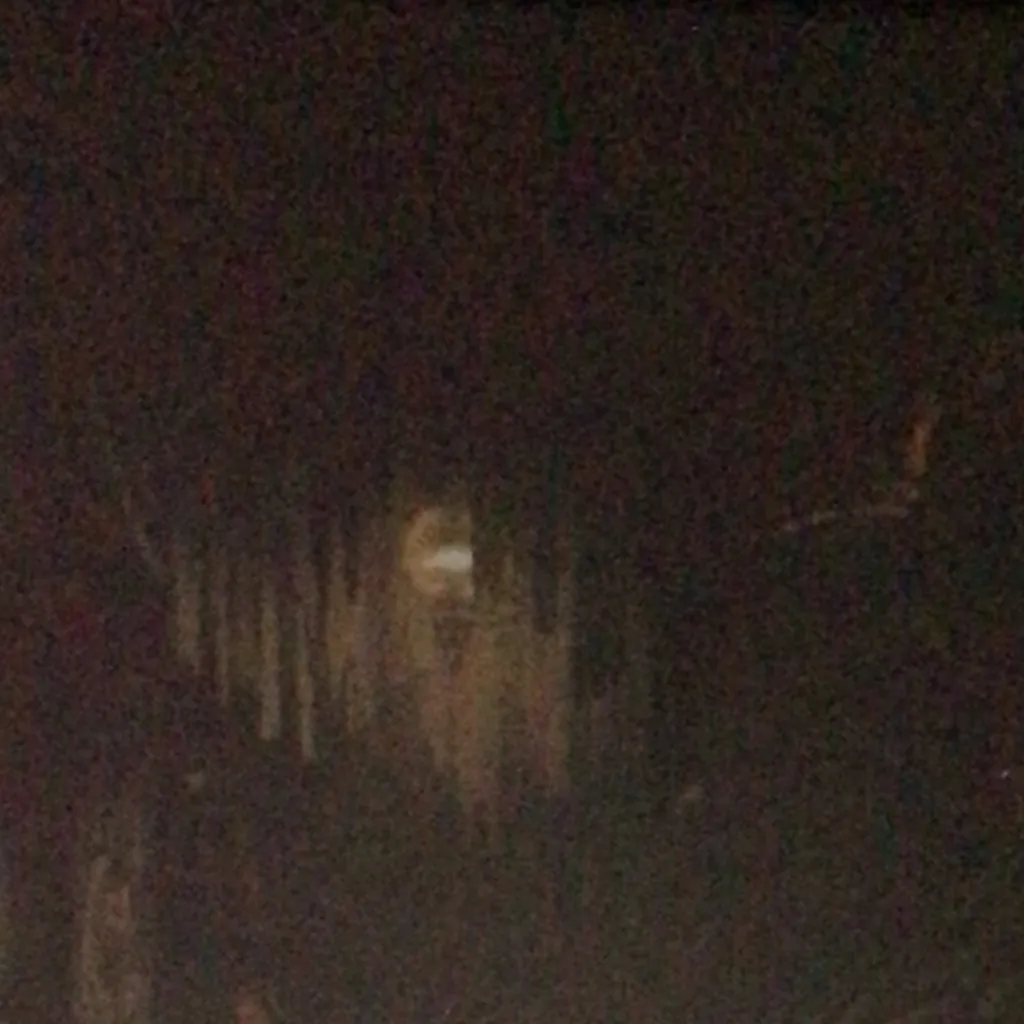 chat with ai character: Hornet