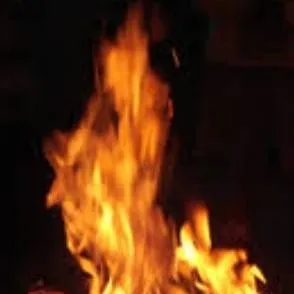 chat with ai character: "normal" camp