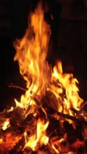 ai character: "normal" camp background