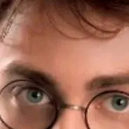 chat with ai character: hp(obviously)