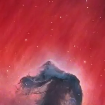 chat with ai character: iCarly rp