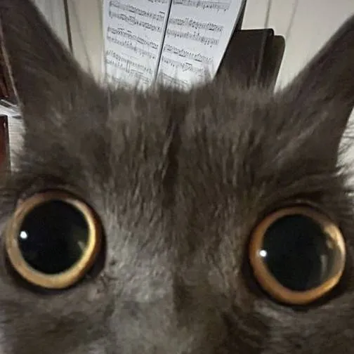 chat with ai character: 77Noli