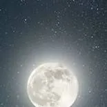 chat with ai character: Alliance Pick me..