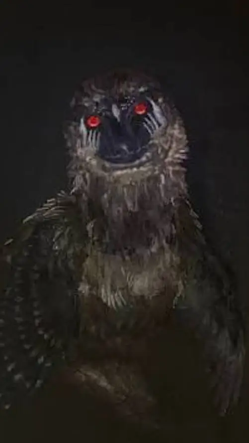 Talkie AI - Chat with Wild bird(or Dino)