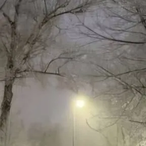 chat with ai character: Do whatever