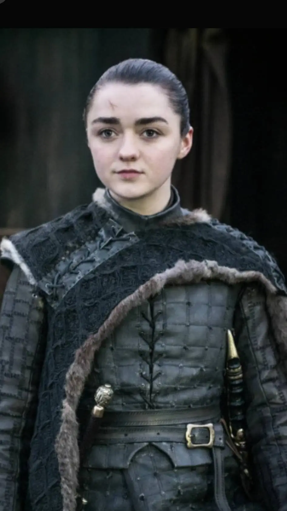 ai character: Arya Stark background