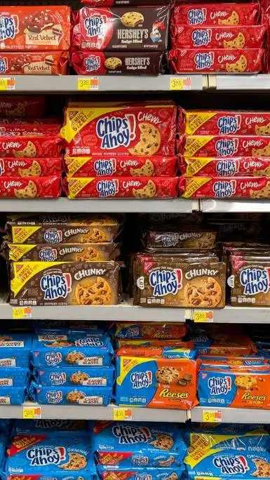 ai character: snavk humans background