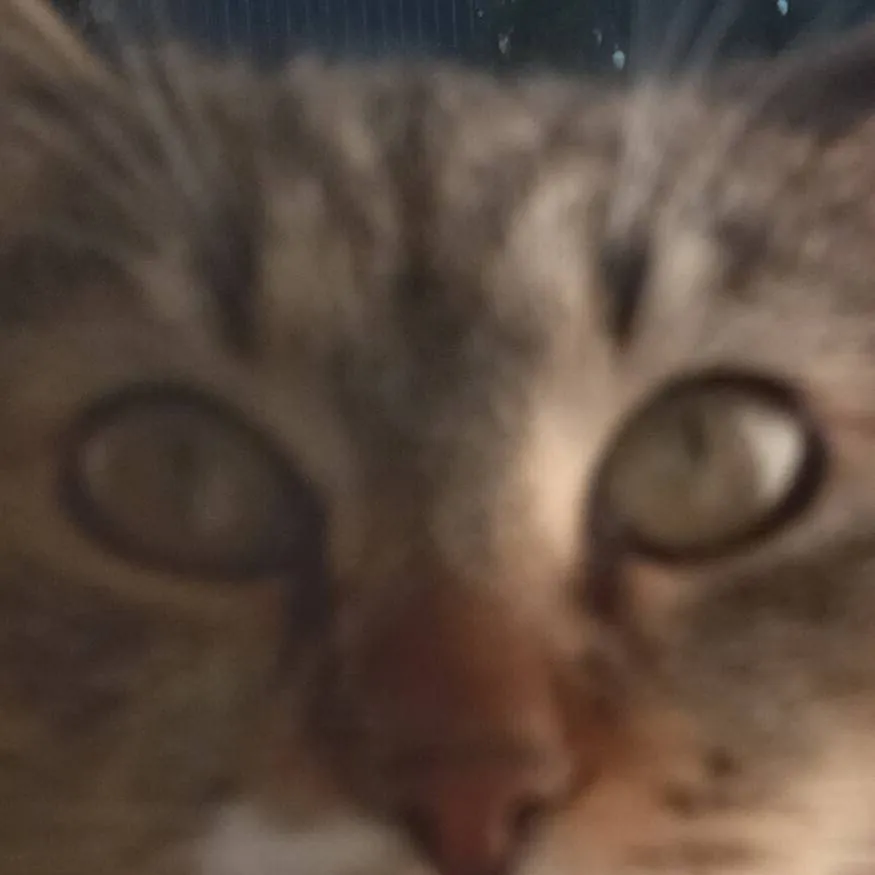 chat with ai character: ??????