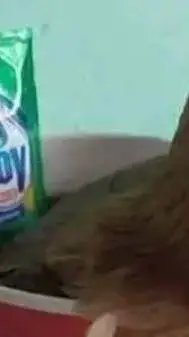 ai character: Tf2 Match  background