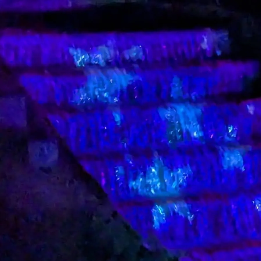 chat with ai character: Night Hide-N-Seek