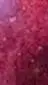 ai character: guest 666 *vore* background