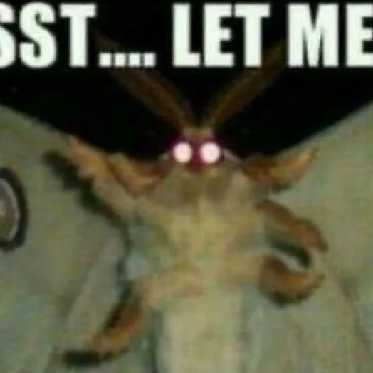 chat with ai character: Fairy~!🩷