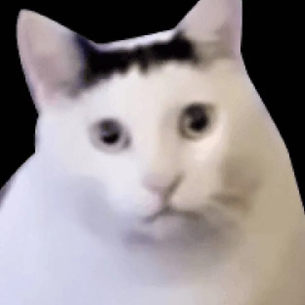 chat with ai character: gatito♥