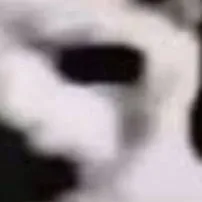 chat with ai character: gato de internet 💀