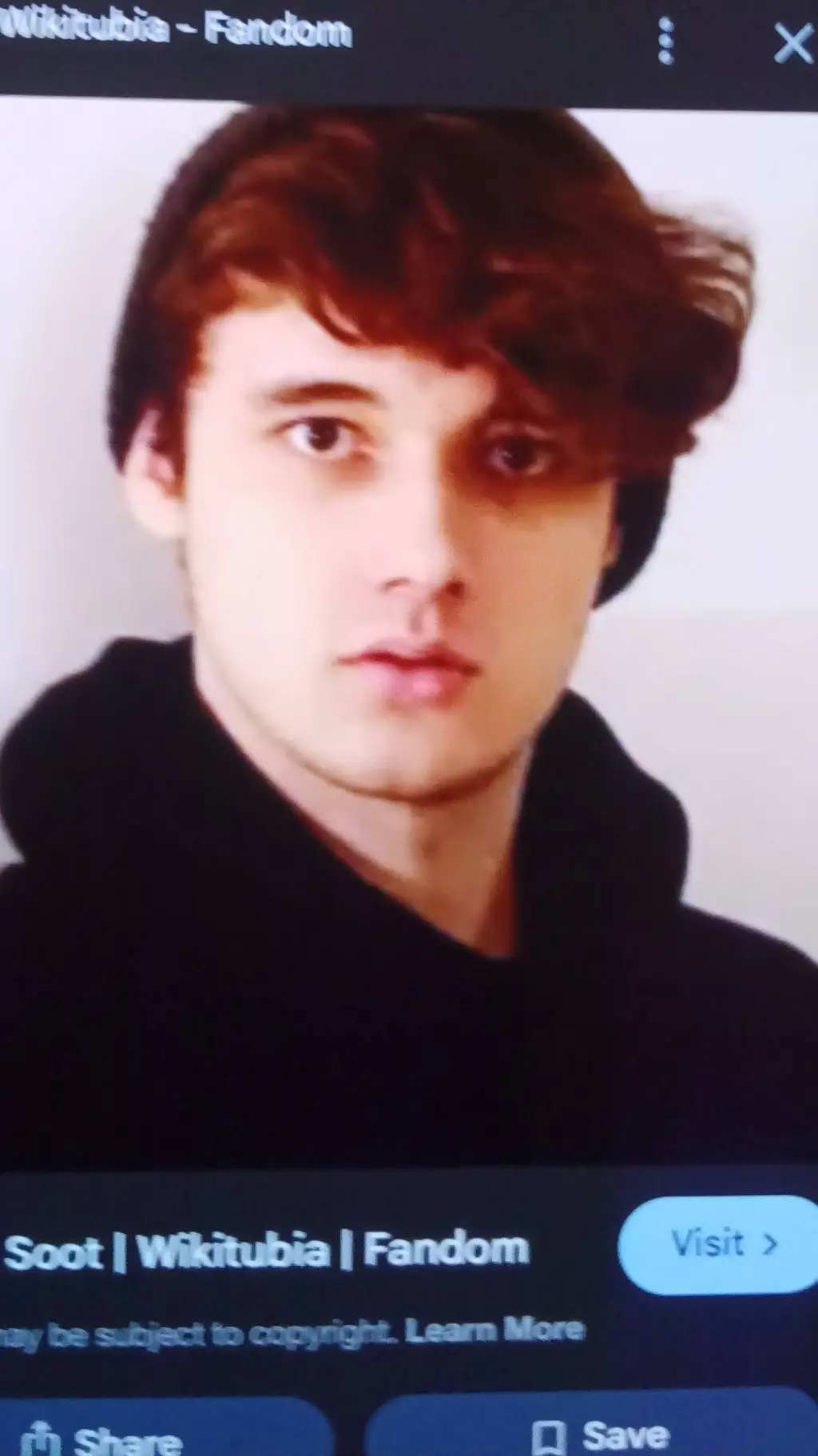 ai character: Wilburxranboo dsmp background