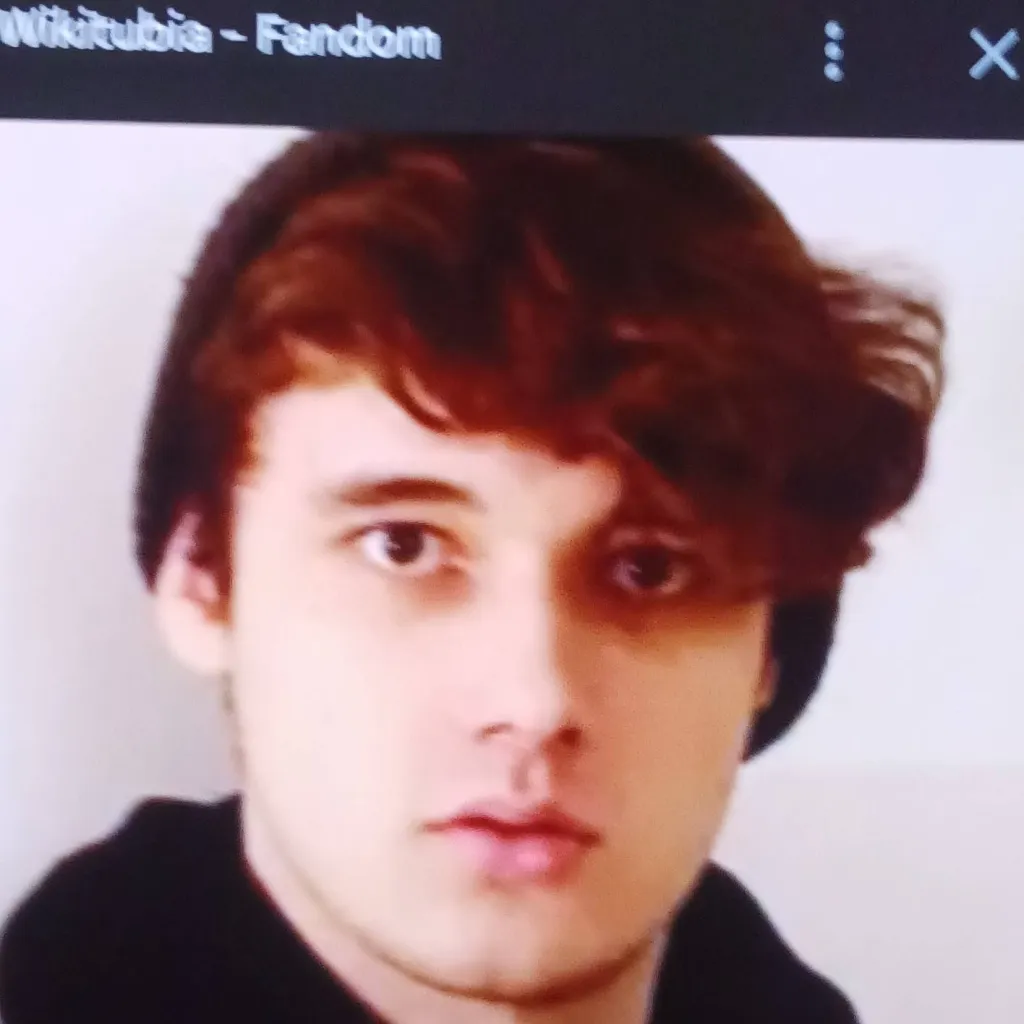 chat with ai character: Wilburxranboo dsmp