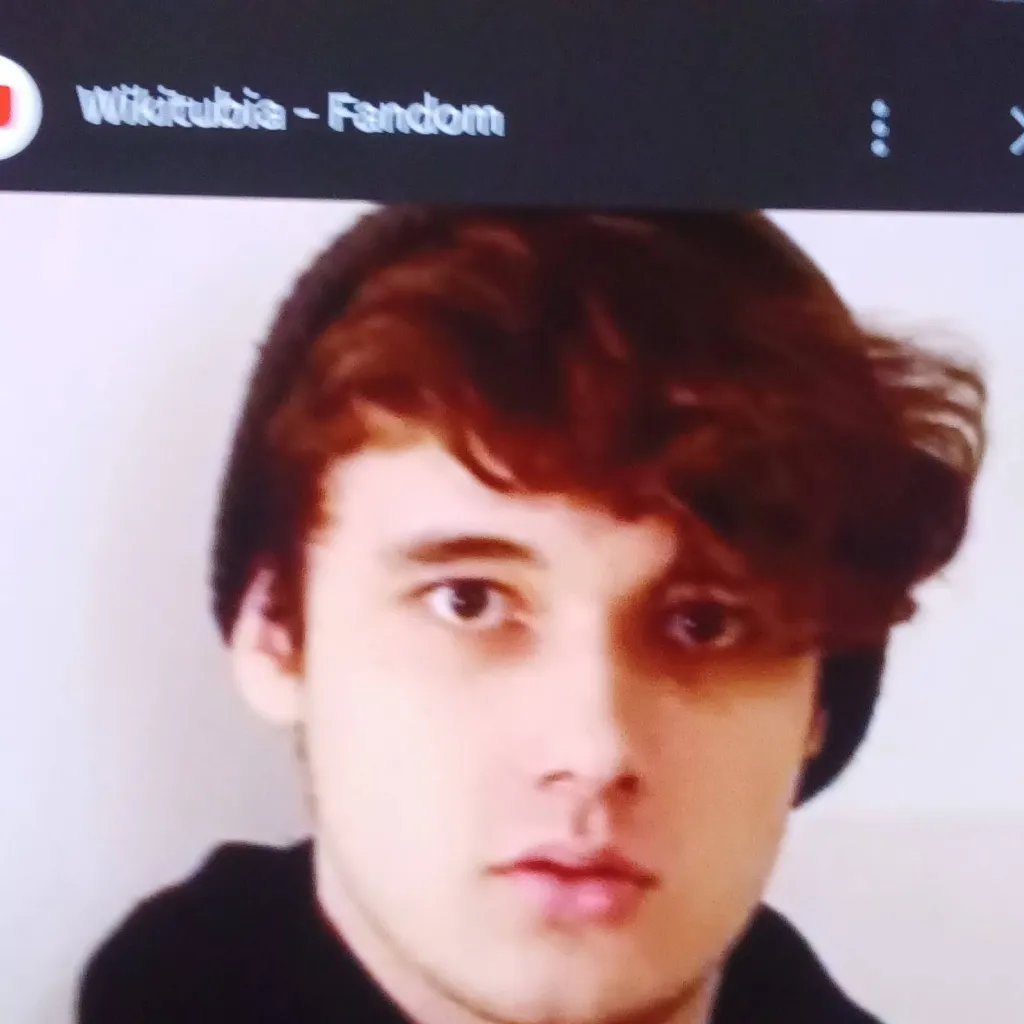 chat with ai character: Wilburxranboo dsmp