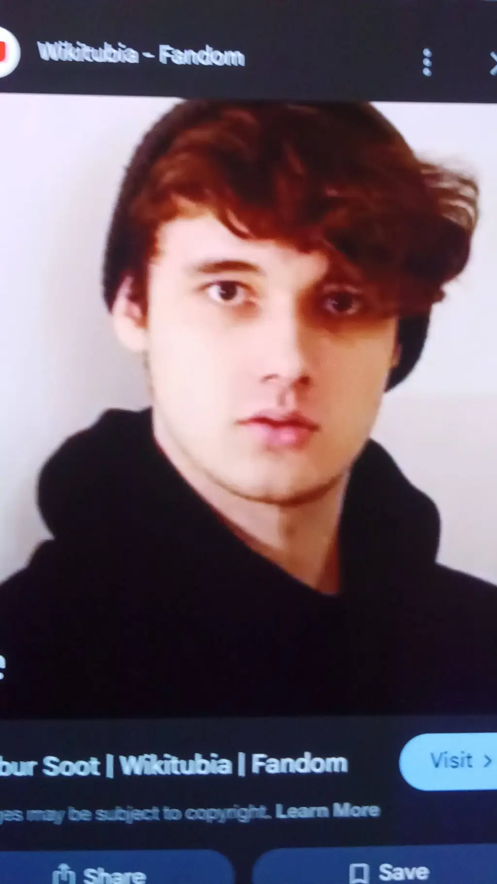 ai character: Wilburxranboo dsmp background