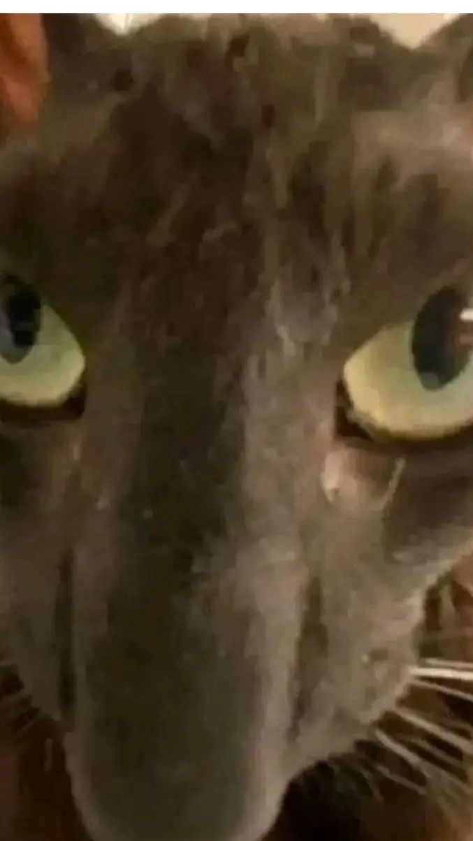 ai character: Damon Potter background