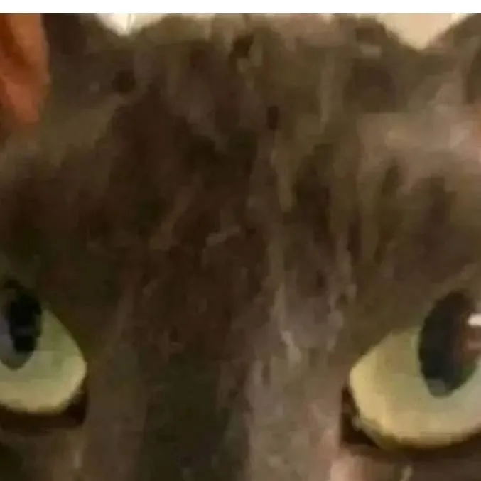 chat with ai character: Damon Potter