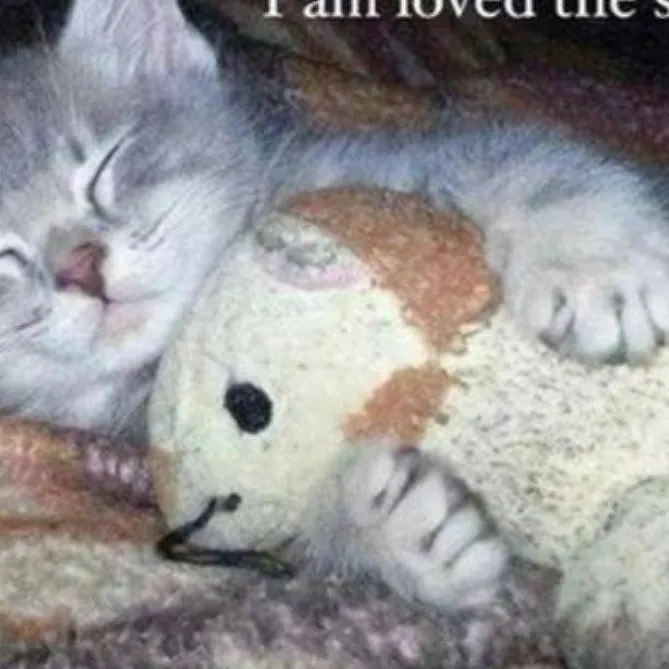 chat with ai character: Vent 👉👈