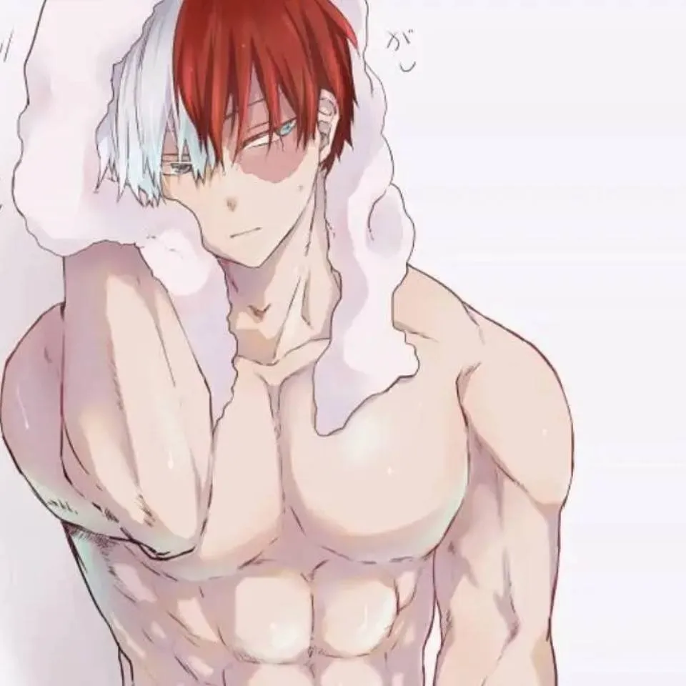 chat with ai character: Shoto Todoroki 