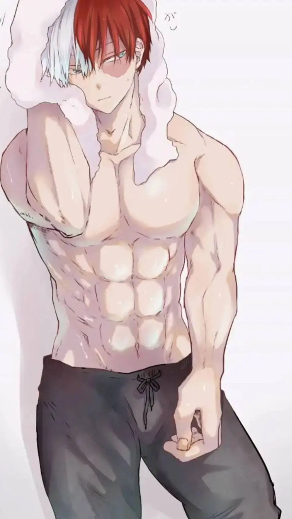 ai character: Todoroki 🔥 🧊  background