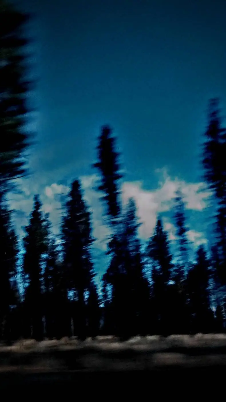 Talkie AI - Chat with Urogi yandere 