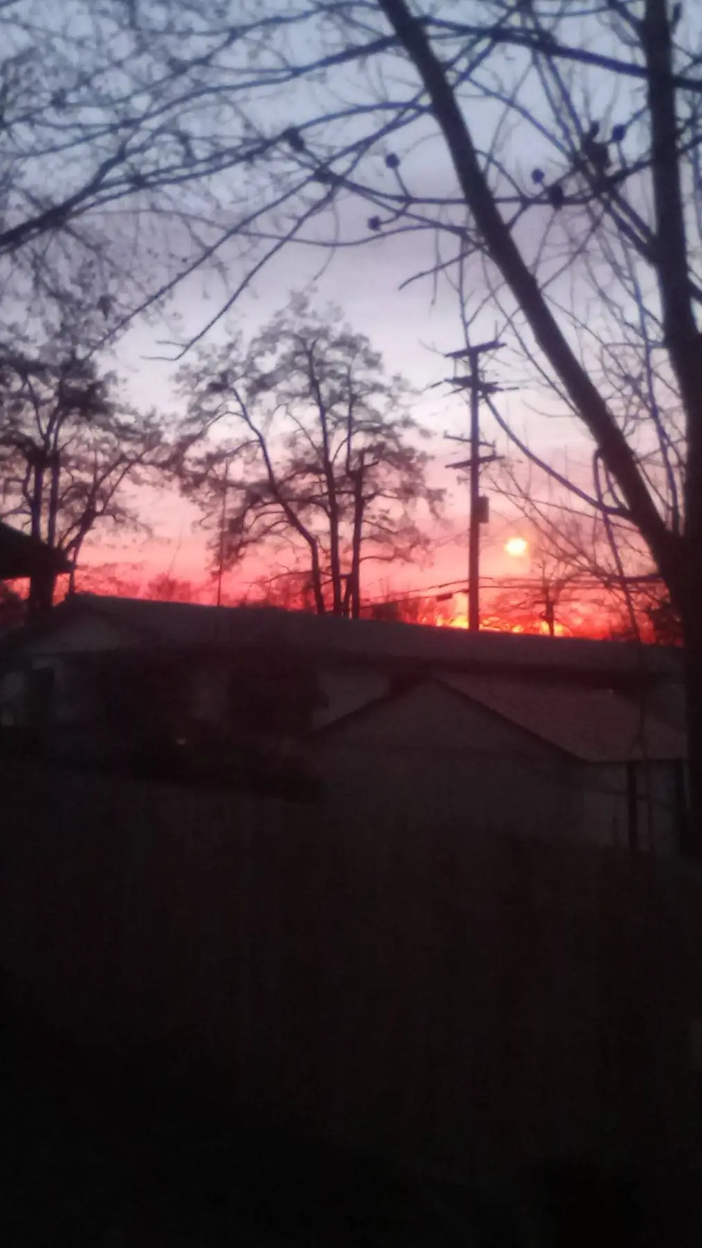 ai character: Karaku  background