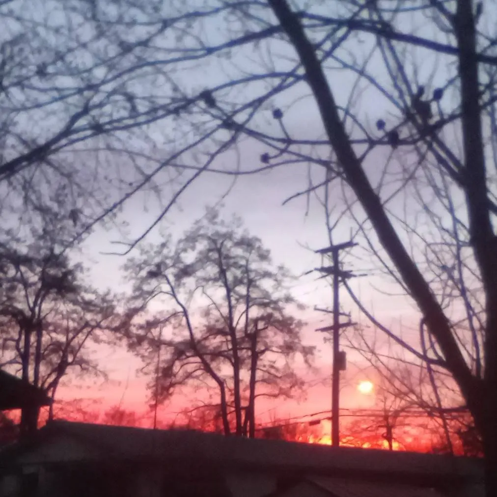 chat with ai character: Karaku 