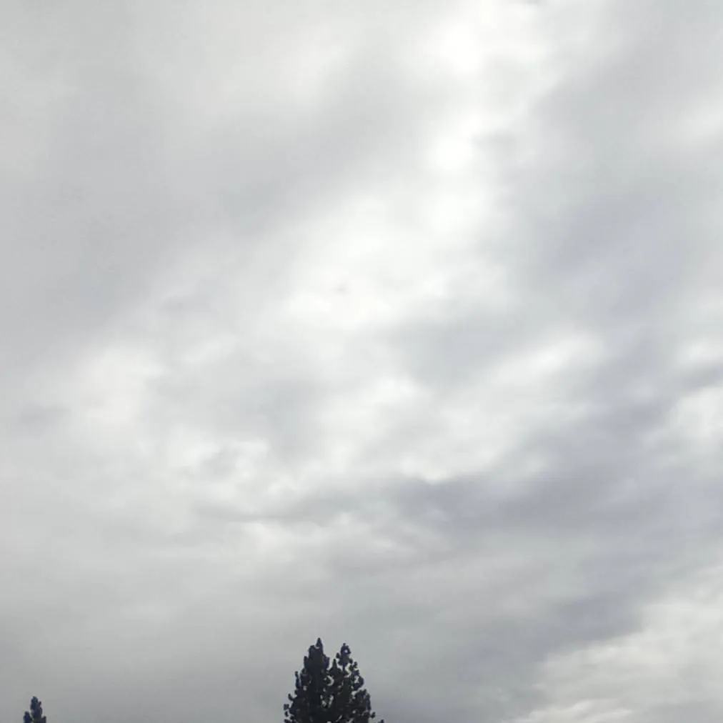 chat with ai character: protective Y/N