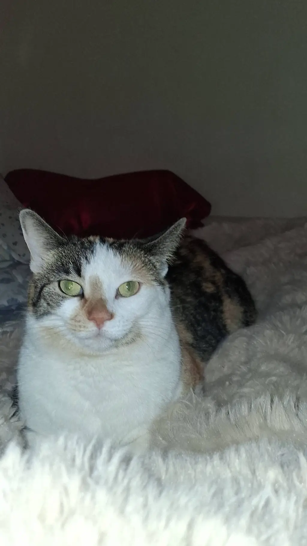 ai character: op background