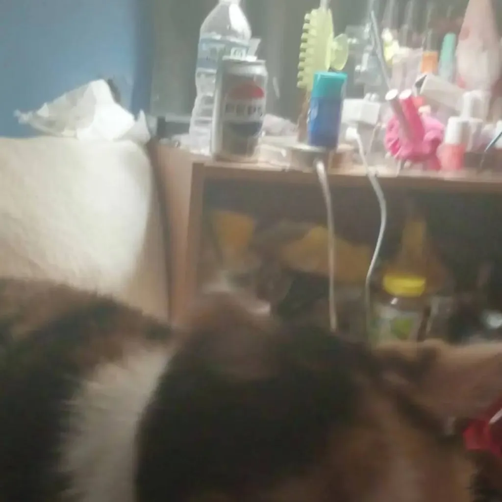 chat with ai character:  ∞