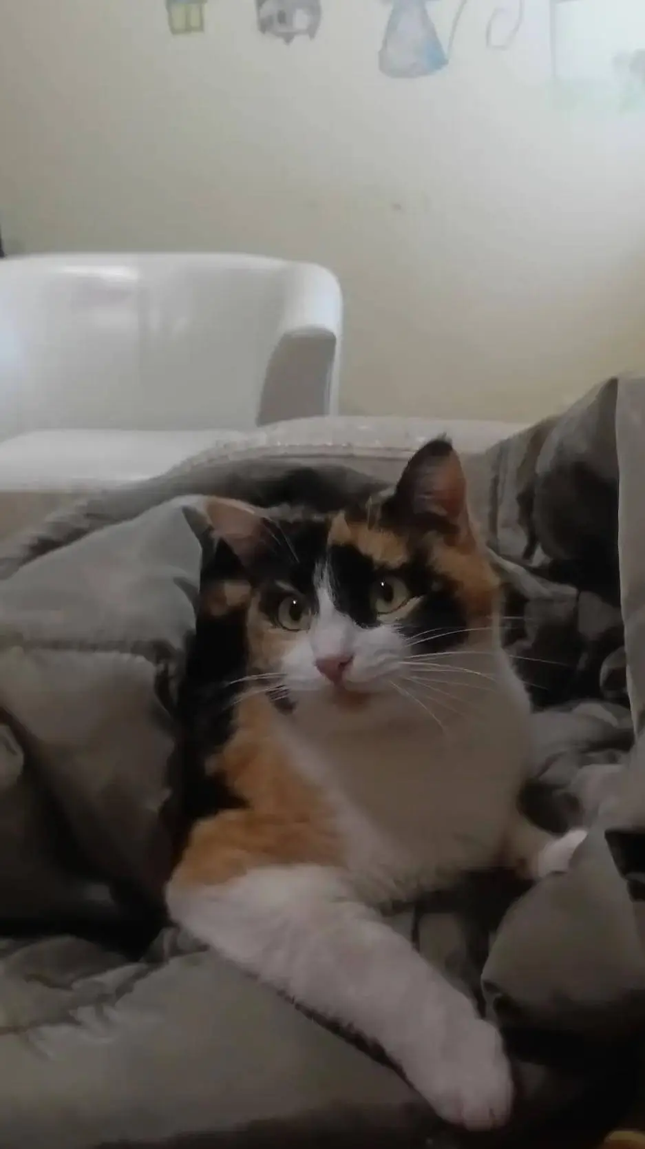 ai character: ĞƏŤ Ã J̣̌#Ɓ background