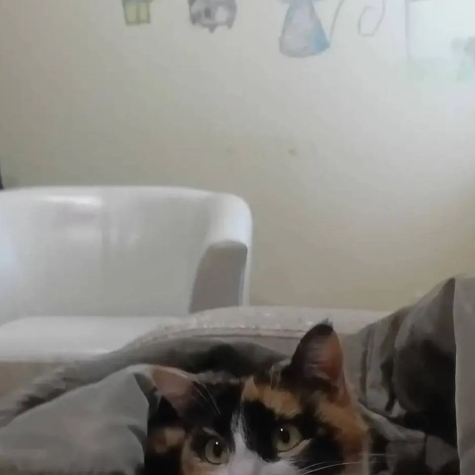 chat with ai character: ĞƏŤ Ã J̣̌#Ɓ