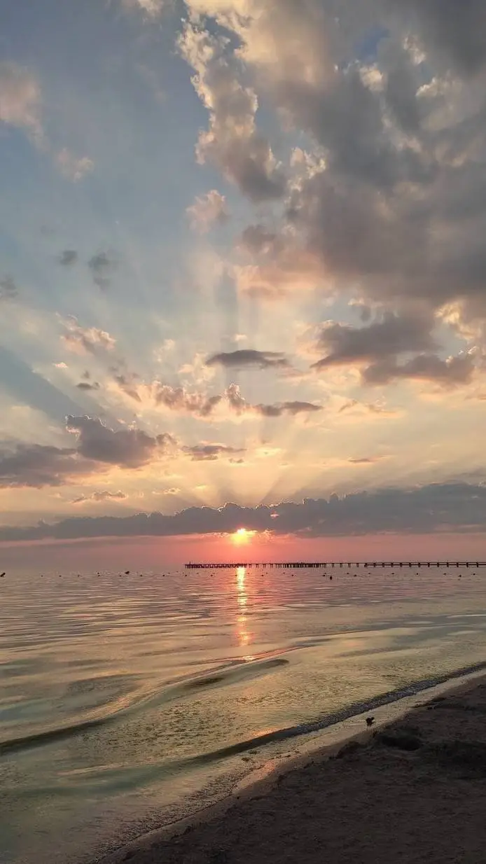 ai character: softy friend💕💭 background