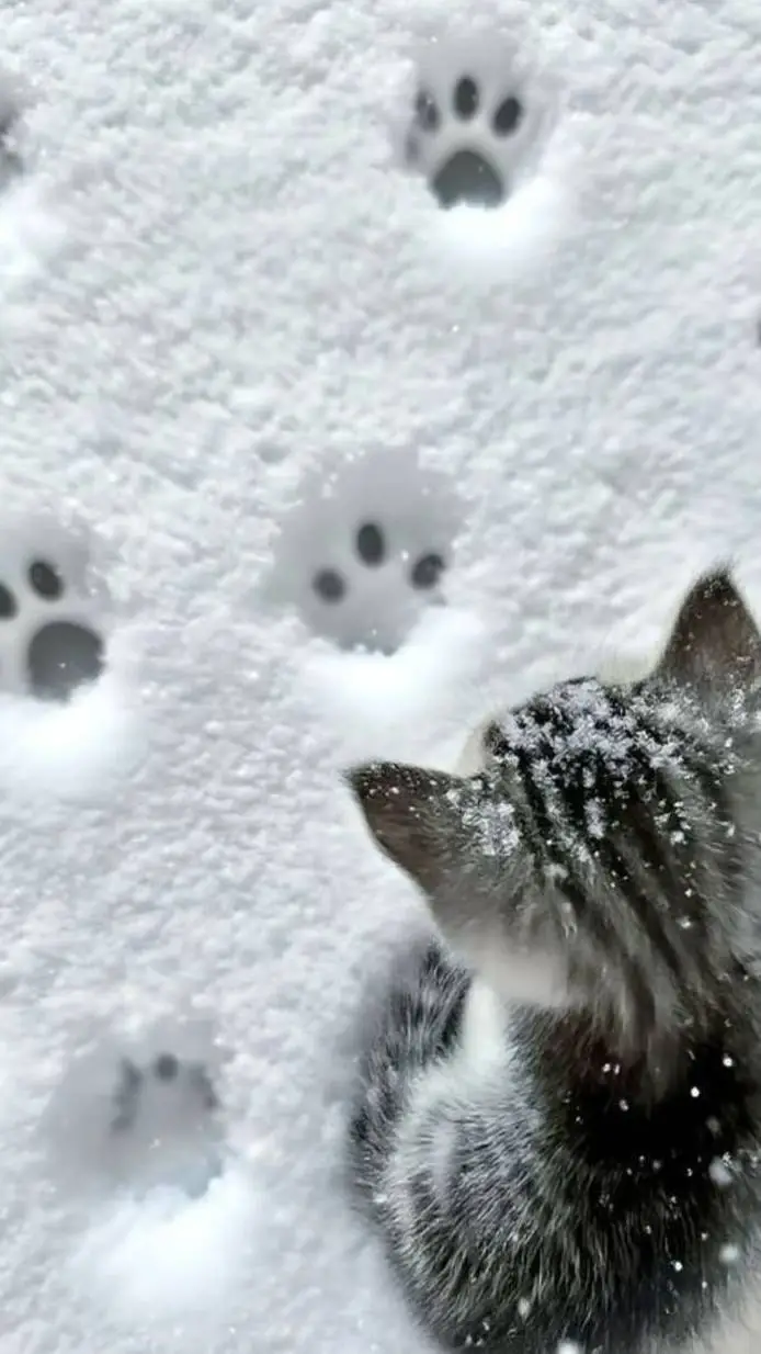 ai character: 𝒸𝒶𝓉𝓂𝑜𝓉𝒽𝑒𝓇 🤍🐾 background